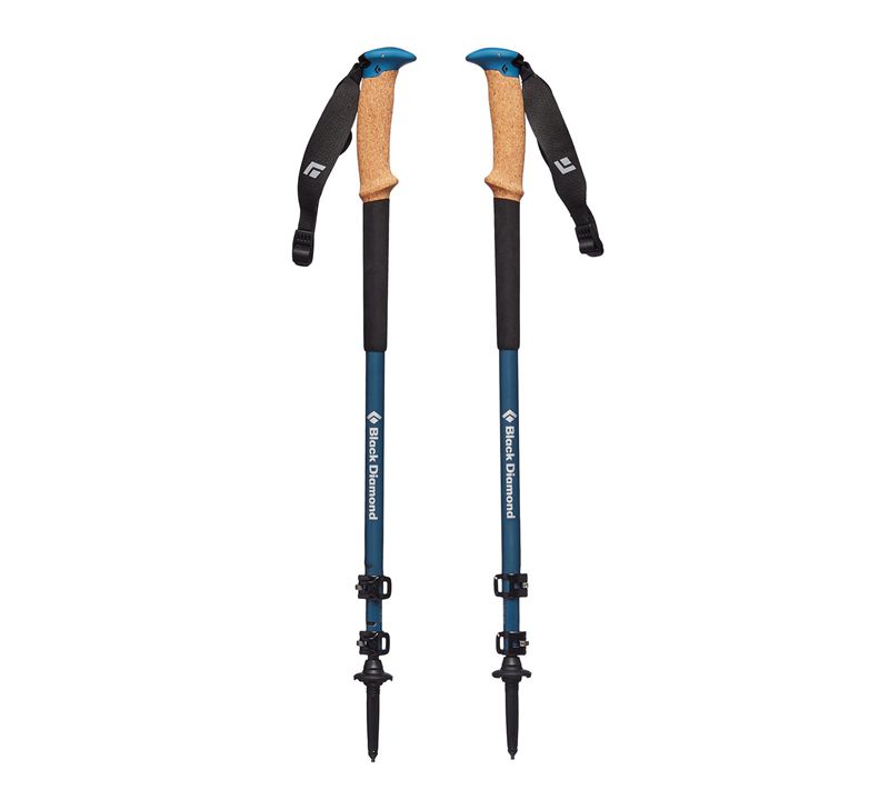 Black Diamond Alpine Carbon Cork WR Unisex Trekking Poles Beige | 20169-GDIA