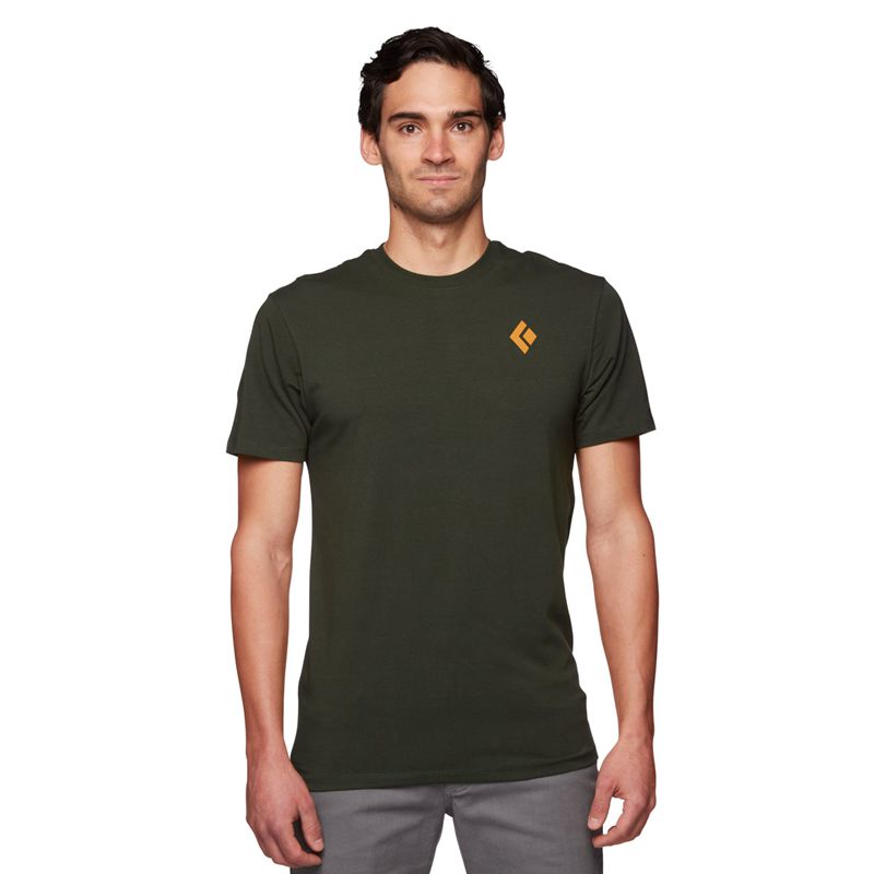 Black Diamond BD Mountain Badge SS Men's Tops Grey Green | 34029-DGPO