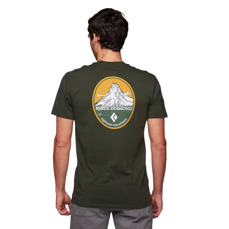 Black Diamond BD Mountain Badge SS Men's Tops Grey Green | 34029-DGPO