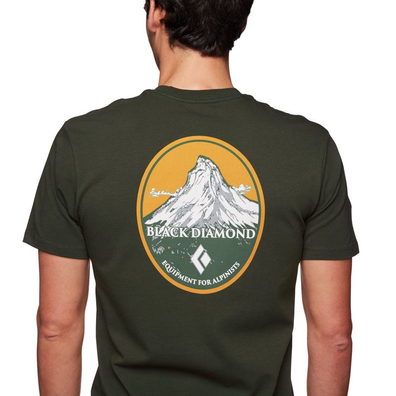 Black Diamond BD Mountain Badge SS Men's Tops Grey Green | 34029-DGPO