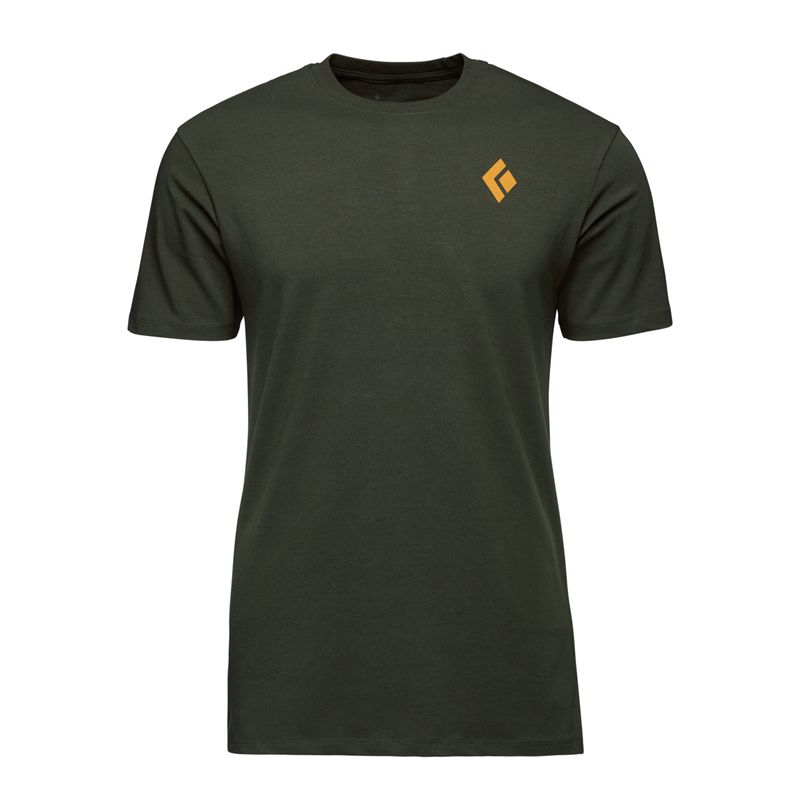 Black Diamond BD Mountain Badge SS Men's Tops Grey Green | 34029-DGPO