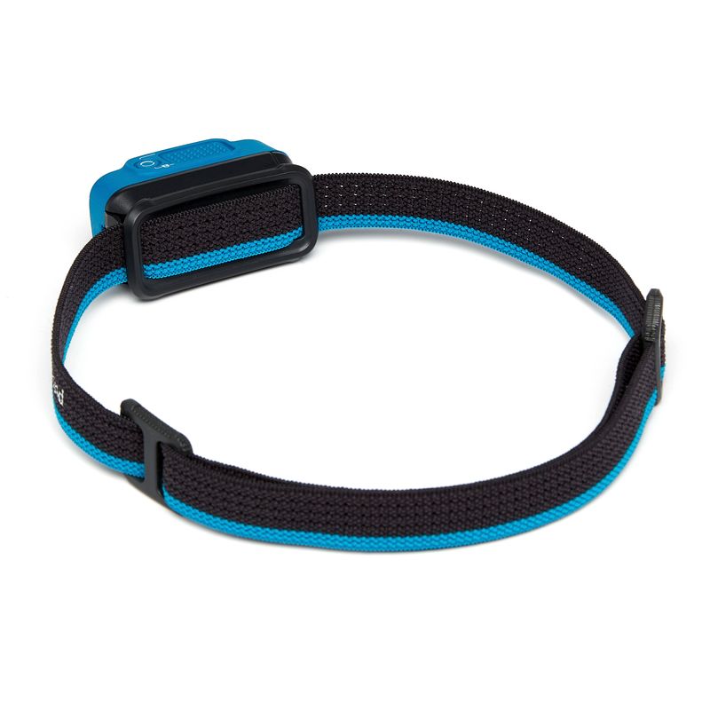 Black Diamond SpotLite 200 Unisex Headlamps Blue | 16934-NQRJ